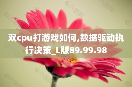 双cpu打游戏如何,数据驱动执行决策_L版89.99.98