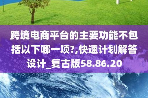 跨境电商平台的主要功能不包括以下哪一项?,快速计划解答设计_复古版58.86.20