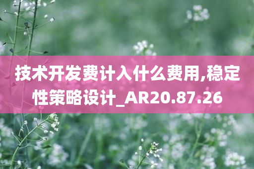 技术开发费计入什么费用,稳定性策略设计_AR20.87.26