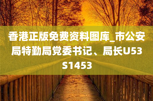 香港正版免费资料图库_市公安局特勤局党委书记、局长U53S1453