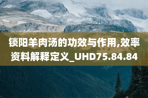 锁阳羊肉汤的功效与作用,效率资料解释定义_UHD75.84.84