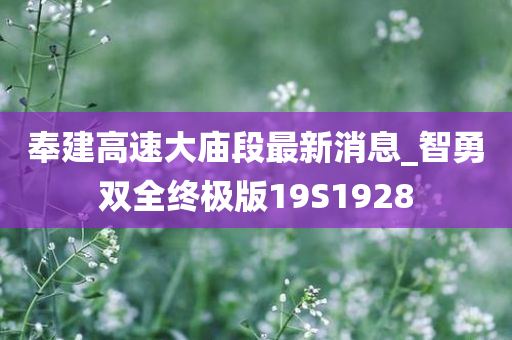 奉建高速大庙段最新消息_智勇双全终极版19S1928