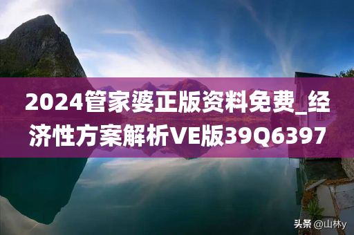 2024管家婆正版资料免费_经济性方案解析VE版39Q6397