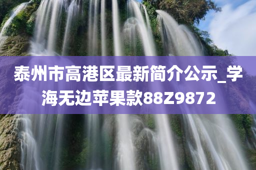 泰州市高港区最新简介公示_学海无边苹果款88Z9872