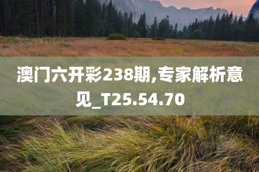 澳门六开彩238期,专家解析意见_T25.54.70