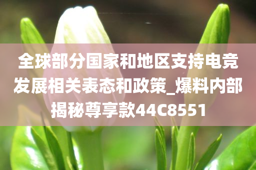 全球部分国家和地区支持电竞发展相关表态和政策_爆料内部揭秘尊享款44C8551