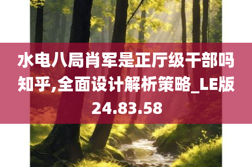 水电八局肖军是正厅级干部吗知乎,全面设计解析策略_LE版24.83.58