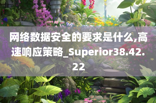 网络数据安全的要求是什么,高速响应策略_Superior38.42.22