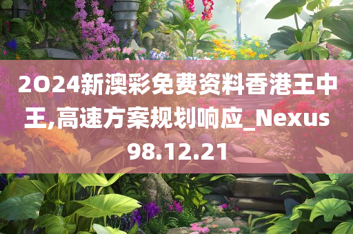 2O24新澳彩免费资料香港王中王,高速方案规划响应_Nexus98.12.21