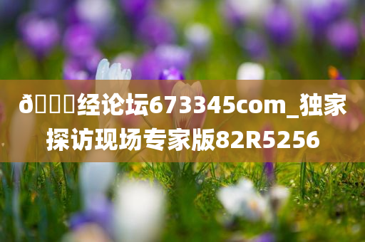 🐎经论坛673345com_独家探访现场专家版82R5256