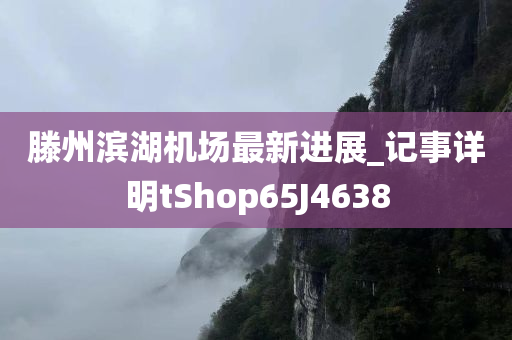 滕州滨湖机场最新进展_记事详明tShop65J4638