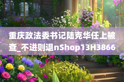 重庆政法委书记陆克华任上被查_不进则退nShop13H3866