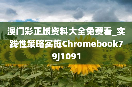 澳门彩正版资料大全免费看_实践性策略实施Chromebook79J1091