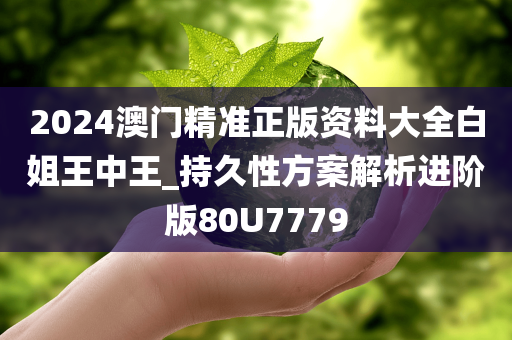 2024澳门精准正版资料大全白姐王中王_持久性方案解析进阶版80U7779