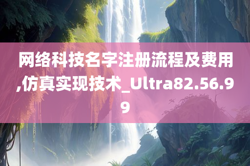 网络科技名字注册流程及费用,仿真实现技术_Ultra82.56.99