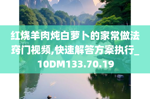 红烧羊肉炖白萝卜的家常做法窍门视频,快速解答方案执行_10DM133.70.19