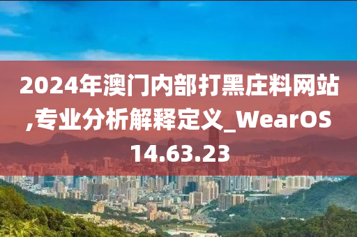 2024年澳门内部打黑庄料网站,专业分析解释定义_WearOS14.63.23