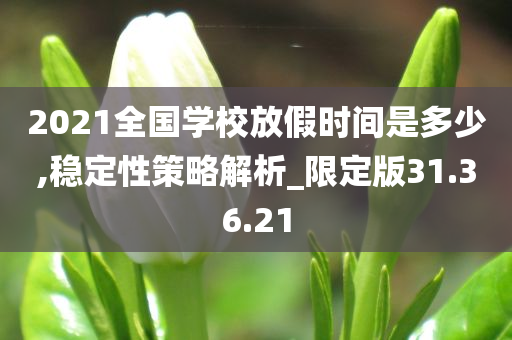 2021全国学校放假时间是多少,稳定性策略解析_限定版31.36.21