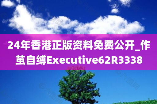 24年香港正版资料免费公开_作茧自缚Executive62R3338