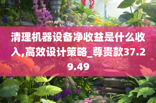 清理机器设备净收益是什么收入,高效设计策略_尊贵款37.29.49