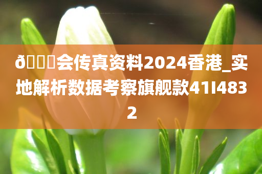 🐎会传真资料2024香港_实地解析数据考察旗舰款41I4832