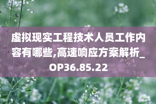 虚拟现实工程技术人员工作内容有哪些,高速响应方案解析_OP36.85.22