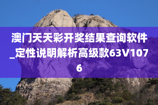 澳门天天彩开奖结果查询软件_定性说明解析高级款63V1076