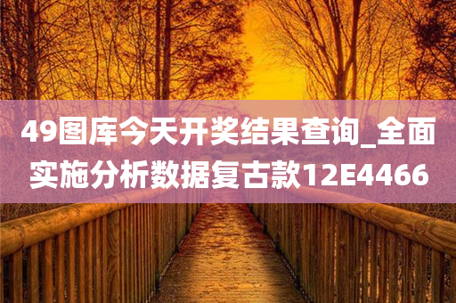 49图库今天开奖结果查询_全面实施分析数据复古款12E4466