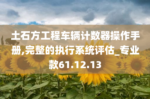 土石方工程车辆计数器操作手册,完整的执行系统评估_专业款61.12.13