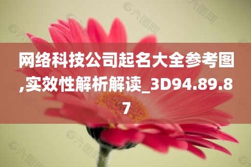 网络科技公司起名大全参考图,实效性解析解读_3D94.89.87