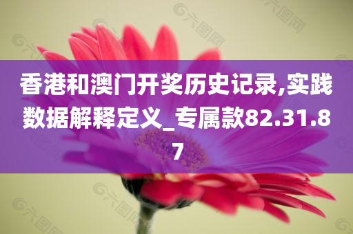 香港和澳门开奖历史记录,实践数据解释定义_专属款82.31.87