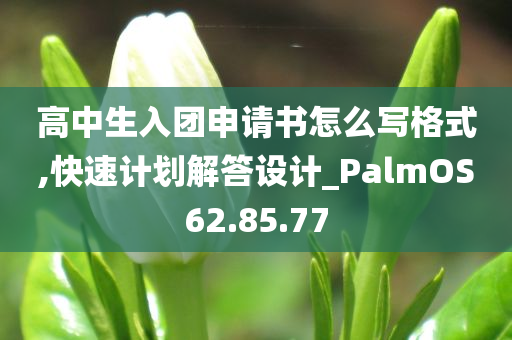 高中生入团申请书怎么写格式,快速计划解答设计_PalmOS62.85.77