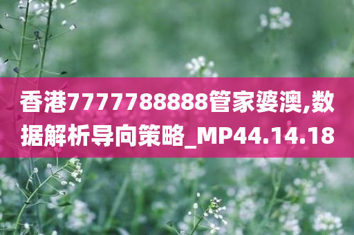 香港7777788888管家婆澳,数据解析导向策略_MP44.14.18