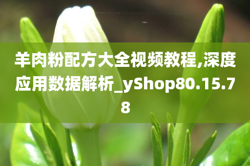 羊肉粉配方大全视频教程,深度应用数据解析_yShop80.15.78