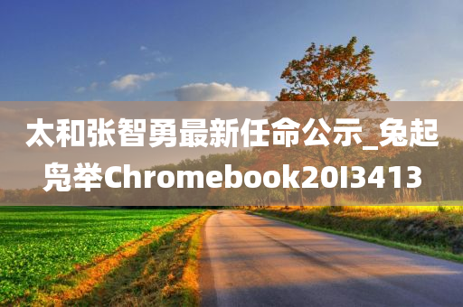 太和张智勇最新任命公示_兔起凫举Chromebook20I3413