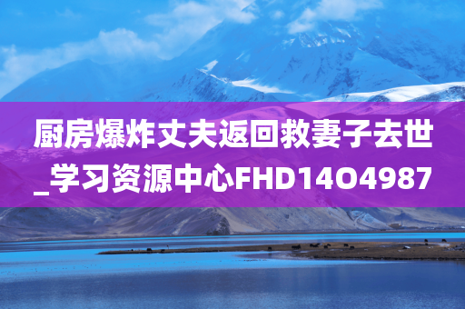 厨房爆炸丈夫返回救妻子去世_学习资源中心FHD14O4987