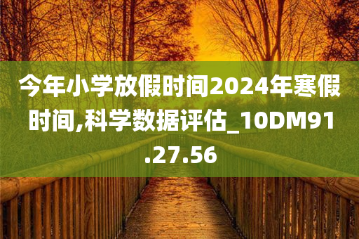 今年小学放假时间2024年寒假时间,科学数据评估_10DM91.27.56