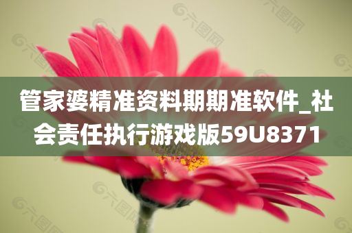 管家婆精准资料期期准软件_社会责任执行游戏版59U8371