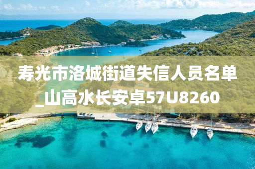 寿光市洛城街道失信人员名单_山高水长安卓57U8260