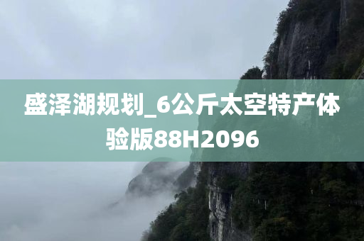 盛泽湖规划_6公斤太空特产体验版88H2096