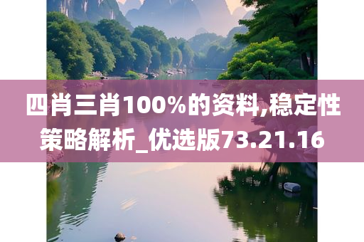 四肖三肖100%的资料,稳定性策略解析_优选版73.21.16