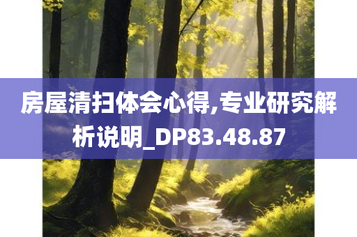 房屋清扫体会心得,专业研究解析说明_DP83.48.87