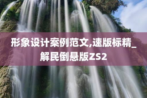 形象设计案例范文,速版标精_解民倒悬版ZS2