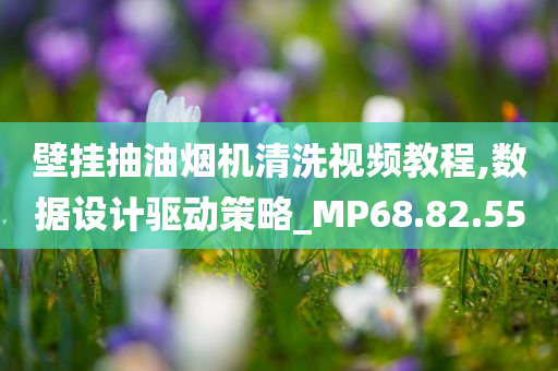 壁挂抽油烟机清洗视频教程,数据设计驱动策略_MP68.82.55