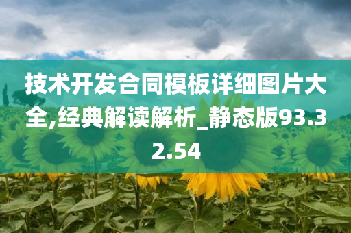 技术开发合同模板详细图片大全,经典解读解析_静态版93.32.54