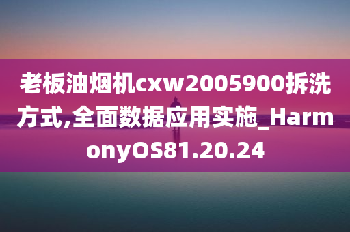 老板油烟机cxw2005900拆洗方式,全面数据应用实施_HarmonyOS81.20.24