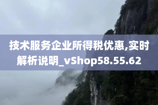 技术服务企业所得税优惠,实时解析说明_vShop58.55.62