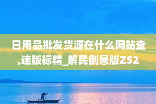 日用品批发货源在什么网站查,速版标精_解民倒悬版ZS2