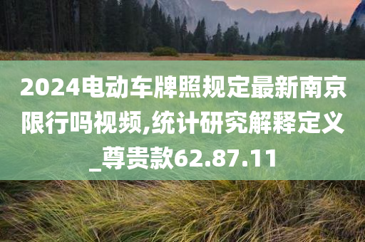 2024电动车牌照规定最新南京限行吗视频,统计研究解释定义_尊贵款62.87.11