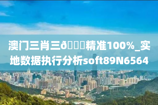 澳门三肖三🐎精准100%_实地数据执行分析soft89N6564